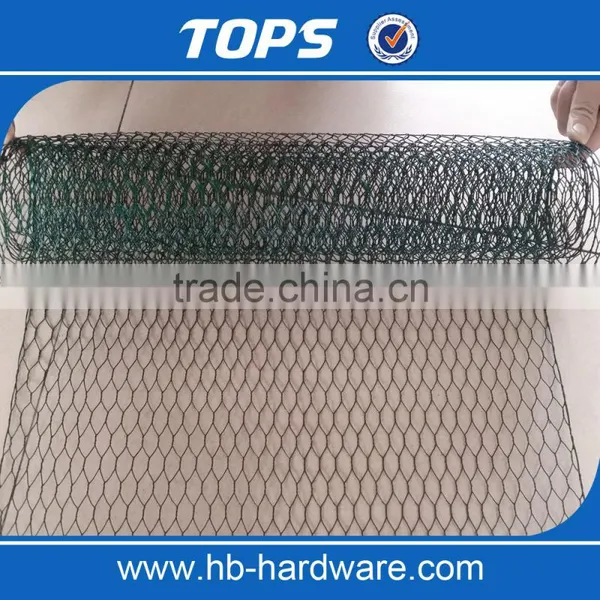 Galvanized Chicken Mesh photo-2