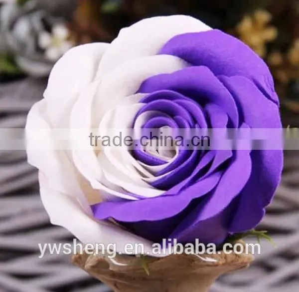 Wholesale Decorative Artificial Two-tone Rose Flower Soap Flower for Festival photo-5