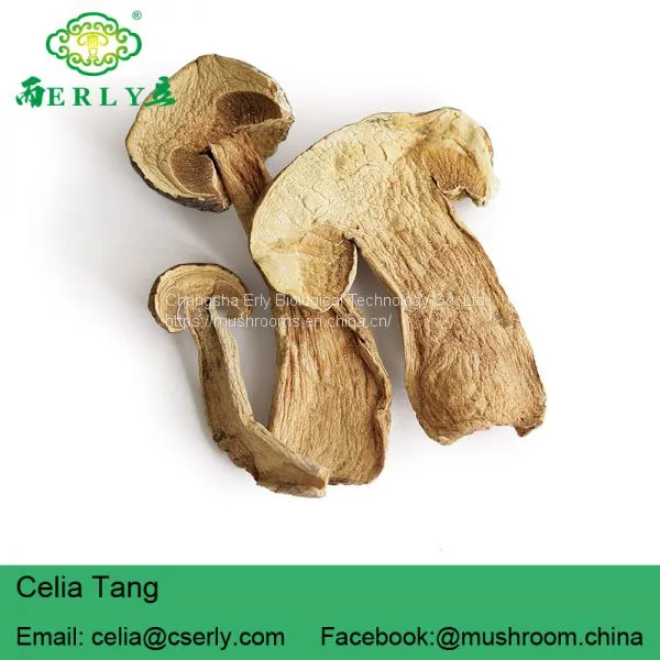 Porcini Porcino Slices Dried Mushrooms photo-3