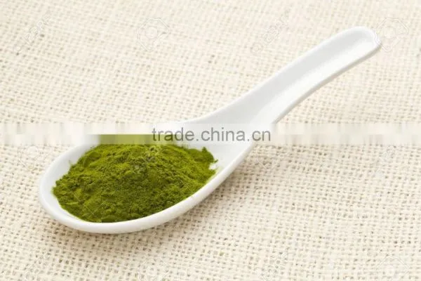 Best Quality Wheat Grass Powder For Sales And Export photo-5
