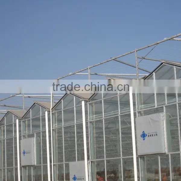 Agricultural Commercial Greenhouse photo-4