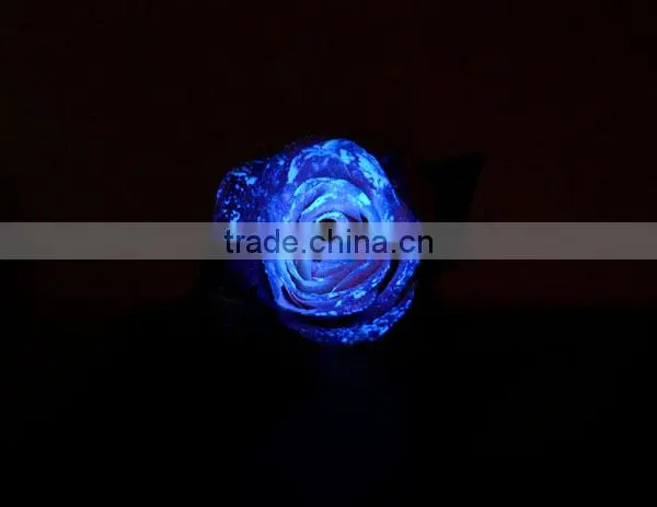 Website Removable Luminous Glow in Dark Wall Stickers photo-5