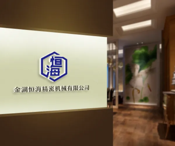 Jinhu Henghai Precision Machinery Co., Ltd company overview - view 1