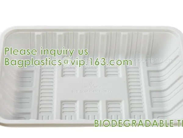 Disposable Corn Starch Plates, Biodegradable Corn Starch Food Container, Biobased Food Tray, Disposable Plastic Takeaway Meal Tray, Corn Starch Blister Packaging Tray, Blister Packaging photo-2