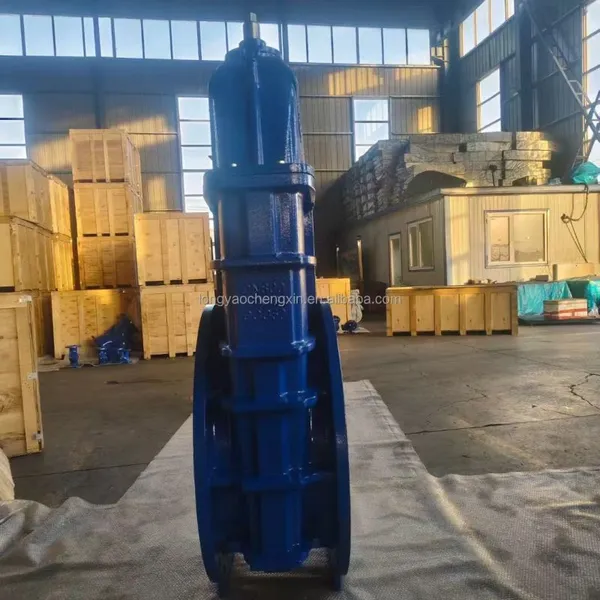 Flange Electric Gate Valve GGG50 GGG40 GG25 Ductile Cast Iron DIN PN16 Flange Motorized Actuator Gate Valve photo-5
