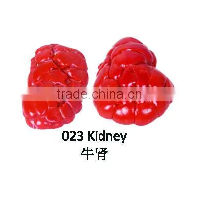Kidney - Halal Buffalo / Sheep Meat