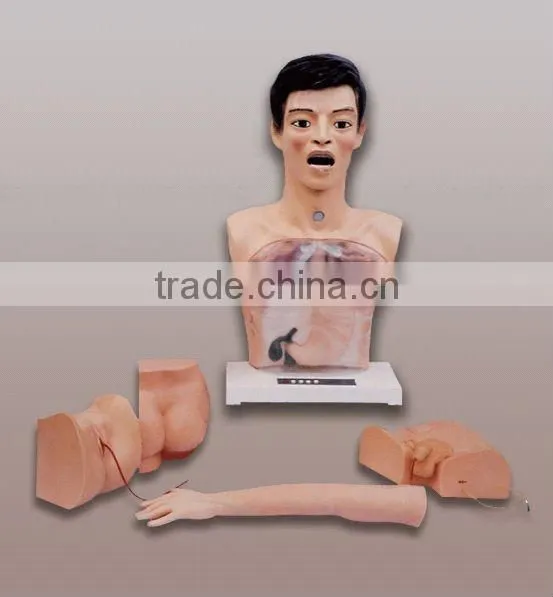 New basic model for nursing