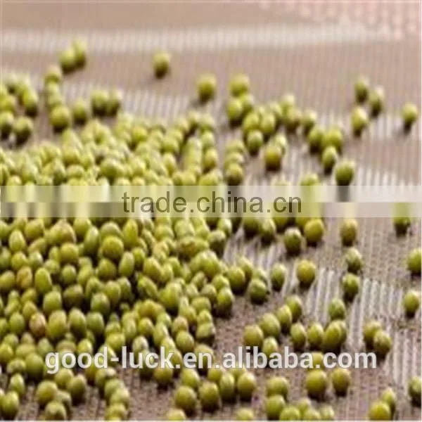Green Mung Beans(2014 Crop) photo-5