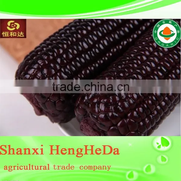 2015 2014 China Supplier Machine Cleaned Yellow Corn photo-5