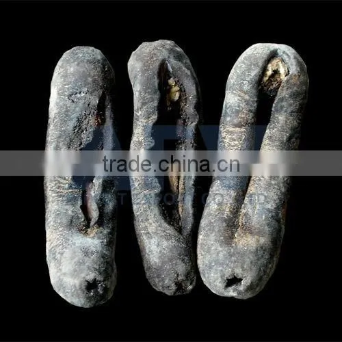 Tiger Sea Cucumber Vietnam, Black Zsand Fish, Holothuria Spp photo-3