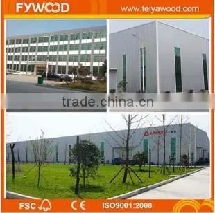 Adjustable Mechanical Prop Jack Scaffolding and Steel Support photo-5