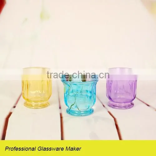 Glass Flower Pot for Home Decoration