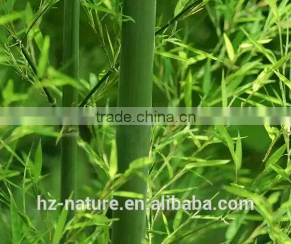 Bamboo Leaf Extract , Plant Extract
