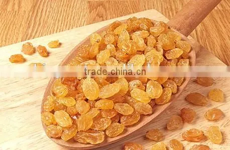 Chinese Dried Golden Raisins With Best Price photo-2