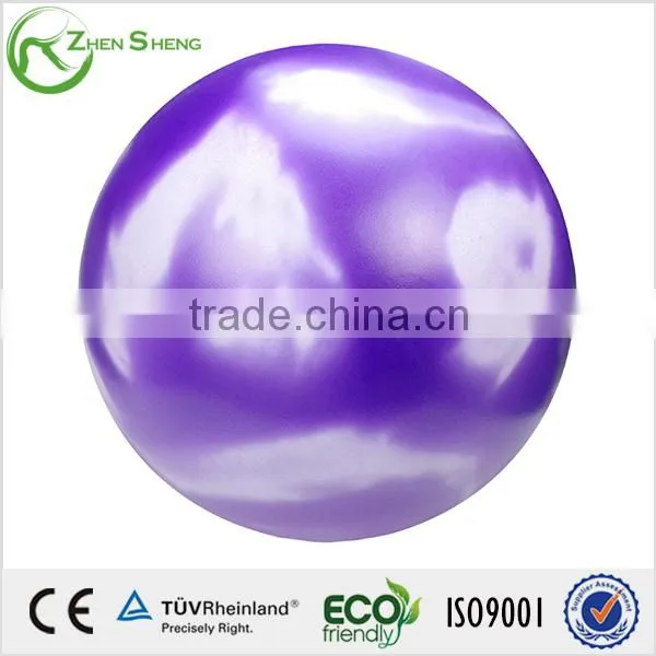 ZHENSHENG Exercise Stability Ball With Pump photo-2