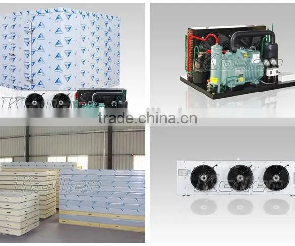 2016 New Design 9 Tons Cold Storage Room With Hinged Door for Seafood From Koller photo-2