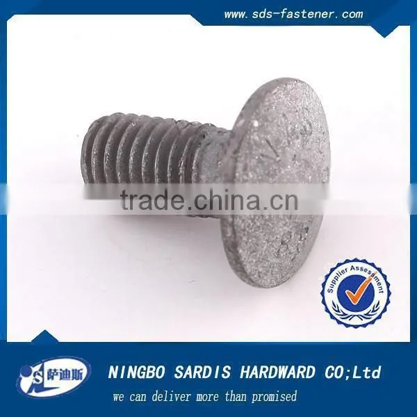 Stainless Steel / Steel T Head Bolts photo-3