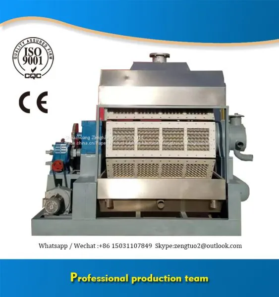 25 Years Factory Supply Small Machine Making Egg Tray photo-4