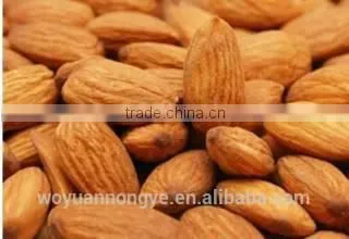 Almonds photo-2