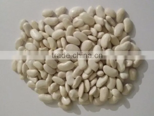 WHITE BEANS / PINTO BEANS / KIDNEY BEANS