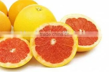 Natural Water Soluble Yuzu Powder /Yuzu Extract Powder/Yuzu Extract photo-2