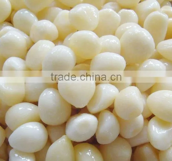 Fresh White Garlic in Brine photo-4