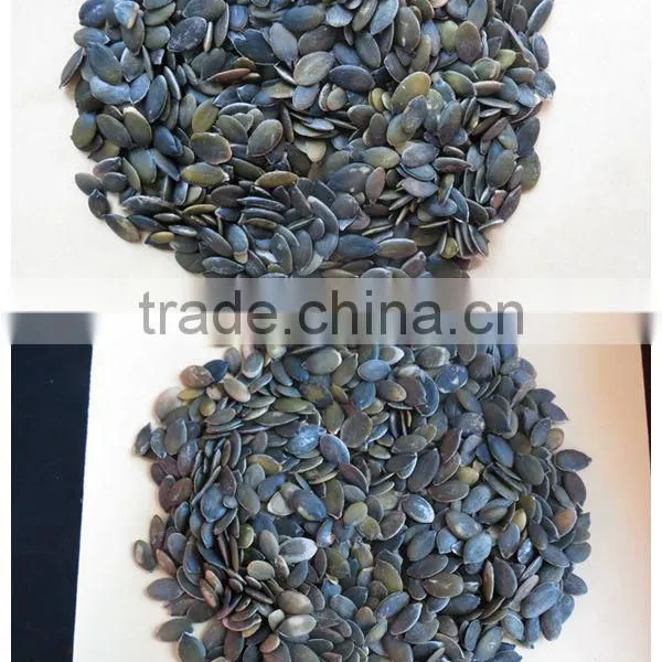 GWS Pumpkin Seeds Kernels Grade A photo-5