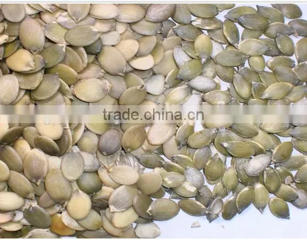 Factory Export Organic Pumpkin Shine Skine Kernels photo-2
