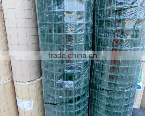 Cheap!!! 5x5 Welded Wire Mesh/ PVC Coated Wire Mesh/ 8 Gauge Welded Wire Mesh photo-3
