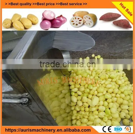Hot Selling Automatic Sweet Potato Radish Fruit and Vegetable Brush Washer photo-3