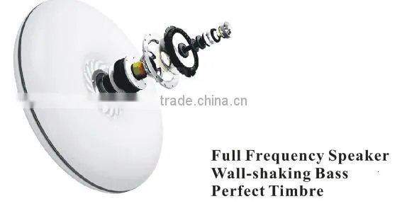 Bluetooth Ceiling Lamp photo-3