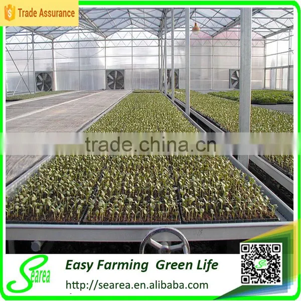 Good Qulity Greenhouse Nursery Seeding Bed photo-2