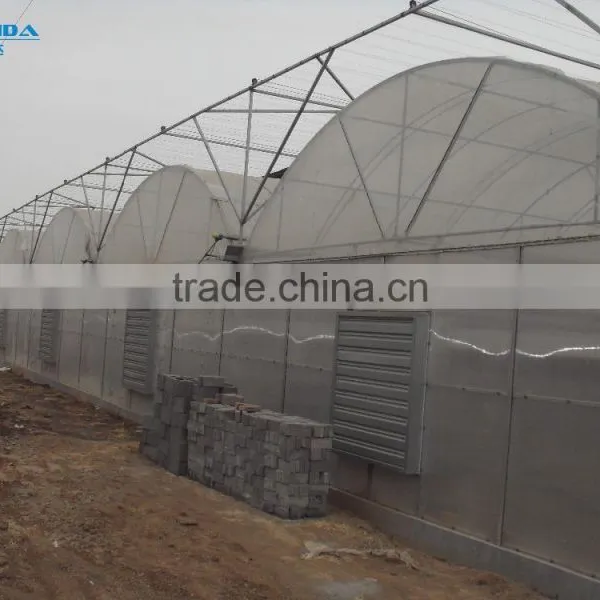 Cheap Easily Inatalled Plastic Film Vegetable Greenhouse photo-2