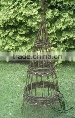 Top Quality Willow Obelisk photo-2