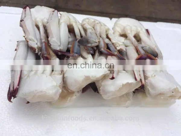 Wholesale Frozen Blue Swimming Crab photo-5