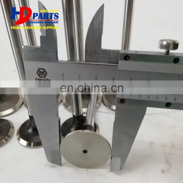 Excavator Diesel Engine BF4M2012 BF6M2012 TCD2012 L04 2V Valve Intake And Valve Exhaust photo-5