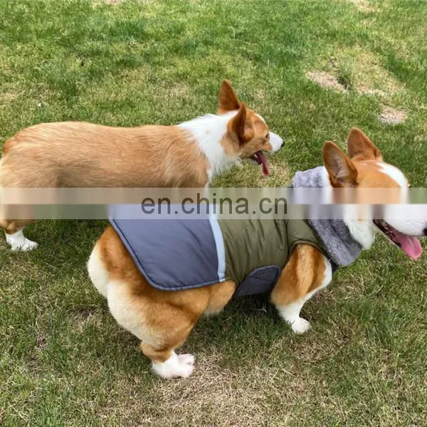 2020 Best Selling Pet Autumn and Winter Big Hairy Collar Double Face Waterproof Clothes photo-6
