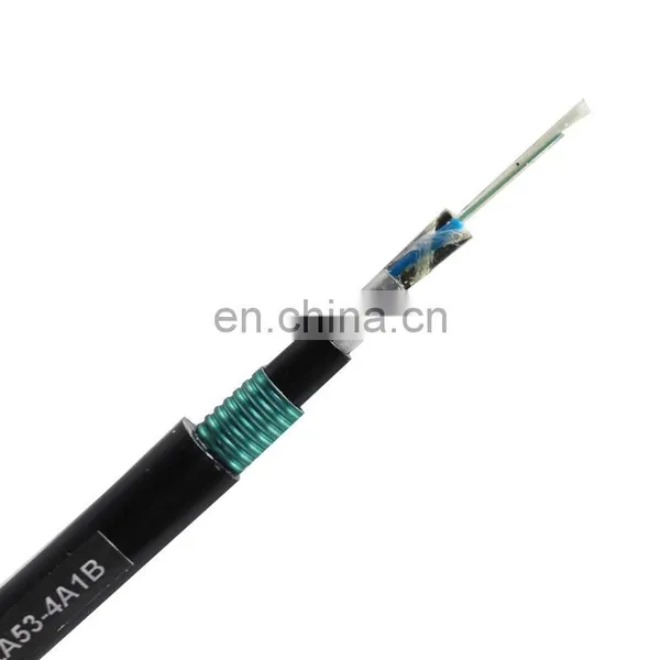 Optic Fiber Core Inside Single Mode or Multimode Optic Fiber Cable photo-2