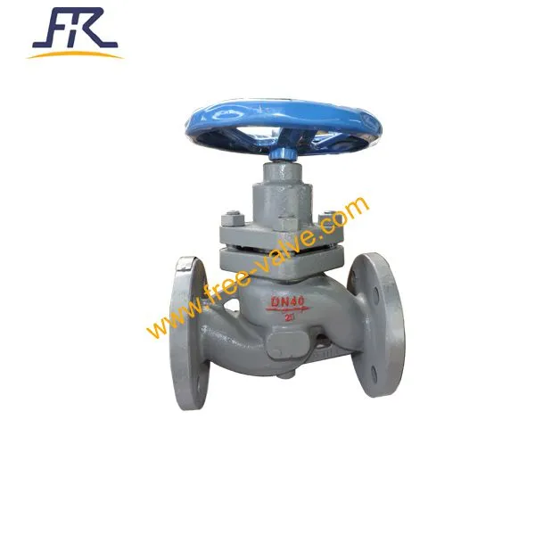 Plunger Piston Valves photo-5