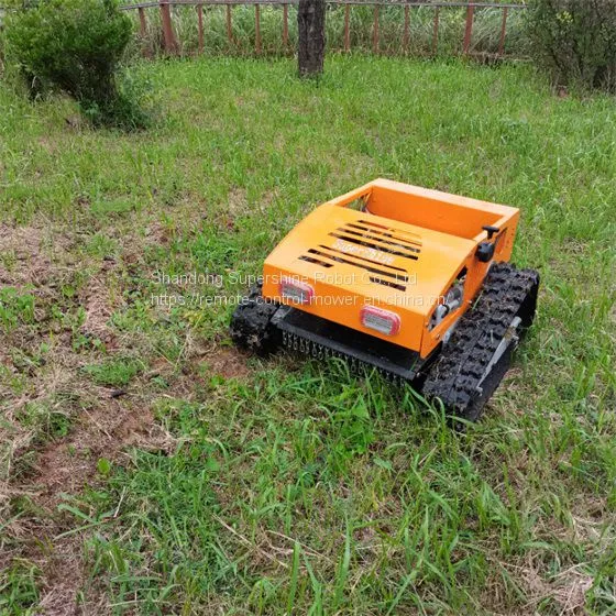 Remote Controlled Lawn Mower China Manufacturer Factory Supplier Wholesaler photo-3
