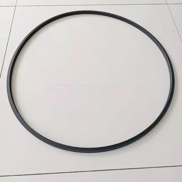 Butadiene Rubber FJ Dustproof Ring Cylinder Piston, Sealing Ring Can be Custom-made Mold photo-3