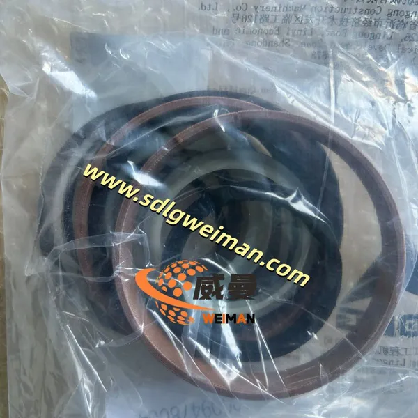ORIGINAL SDLG 4120009478004 SEALING KIT APPLY FOR SDLG GRADER G9180 G9190 G9200 photo-3