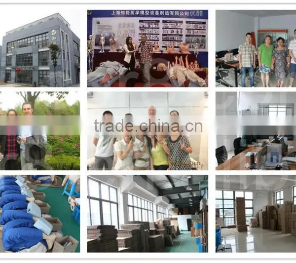 High Quality Ear Chinese Acupuncture Model photo-6