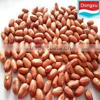 Bulk Fair Trade Red Peanut Kernels
