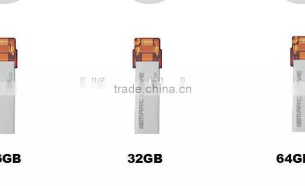 Favorable Price Top Quality Logo Printed USB Flash Drive With MFI Certification photo-4