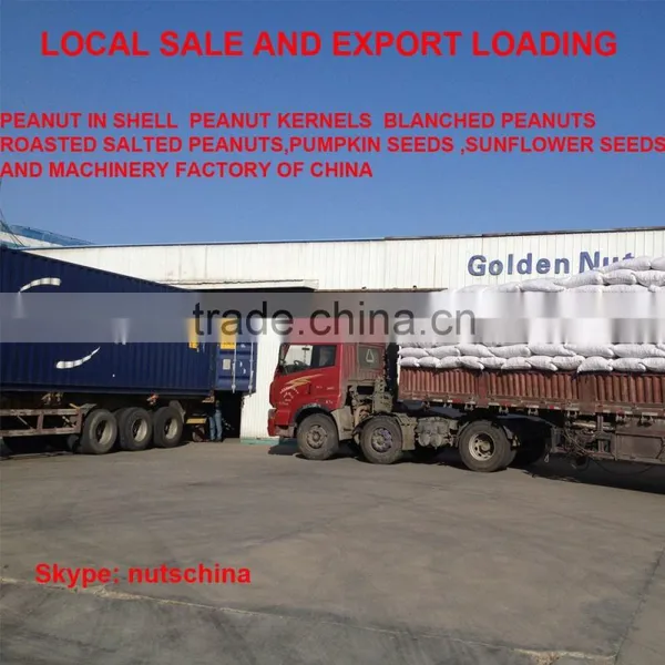Chinese Blanched Peanuts 25/29 (VIRGINIA TYPE) photo-6