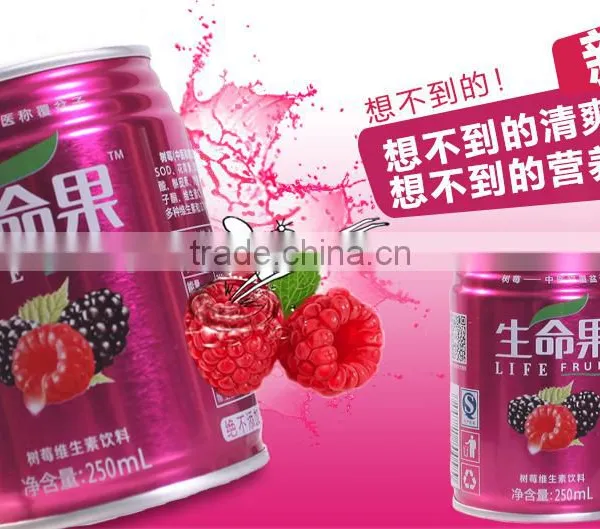 Raspberry Juice Drink