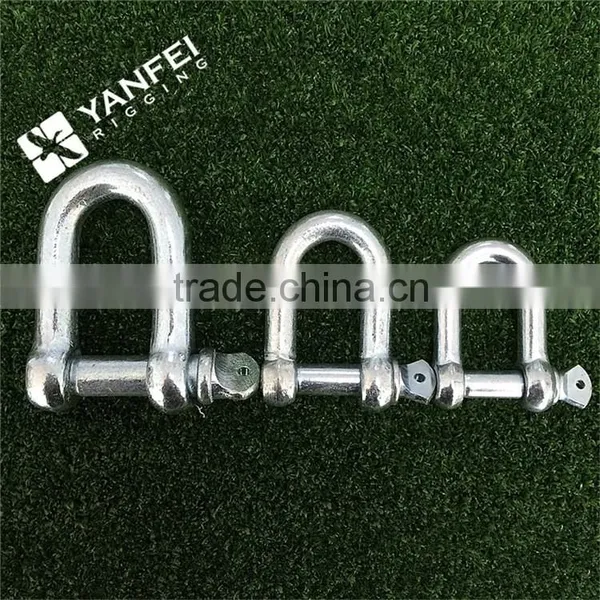 Chain D Type Shackle With Round Pin photo-4