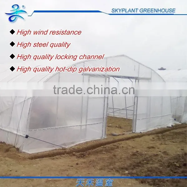 Single-span Greenhouse for Vegetables, Plastic Flim Greenhouse, Low Cost photo-4