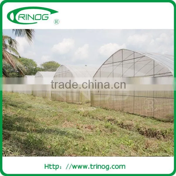 Greenhouse Poles for Agricultural